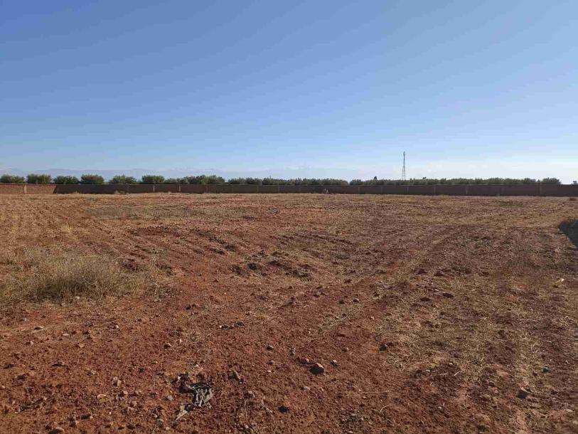 Your Investment Opportunity: Land for Sale in The Road of Fez-14