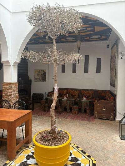Titled Riad for Sale – Bab Doukkala, Marrakech