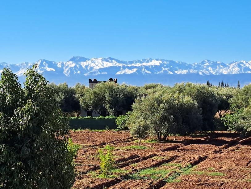 Luxury Villa with Stunning Atlas Views – Marrakech-13