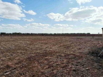 Your Investment Opportunity: Land for Sale in The Road of Fez