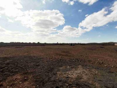 Great Opportunity: Available Land in Road of Fez