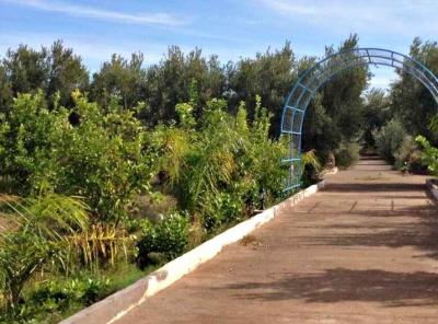 Exceptional 3.5 Hectare Farmstead on the Road of Fez