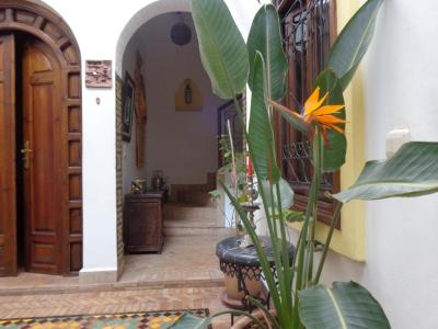 Traditional Beldi Riad for Sale – Bab Doukkala