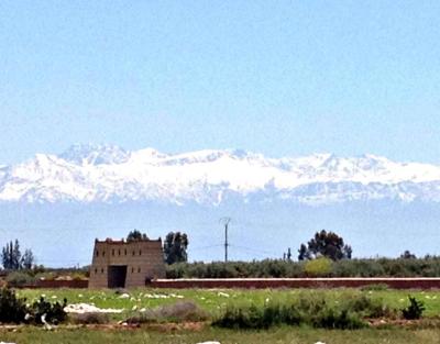 Exceptional 3.5 Hectare Farmstead on the Road of Fez