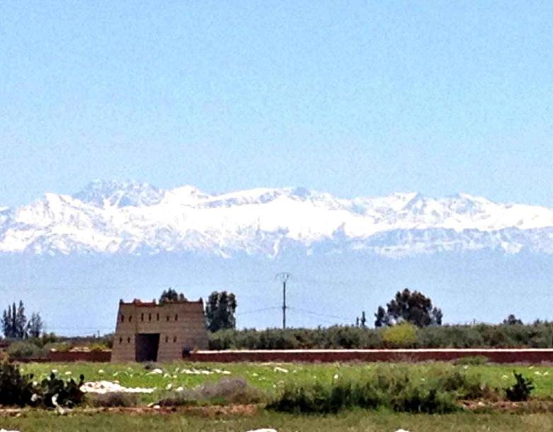 Exceptional 3.5 Hectare Farmstead on the Road of Fez-7
