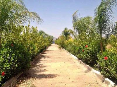 Exceptional 3.5 Hectare Farmstead on the Road of Fez