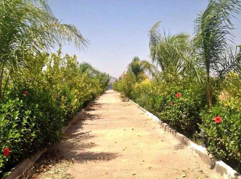 Exceptional 3.5 Hectare Farmstead on the Road of Fez-13