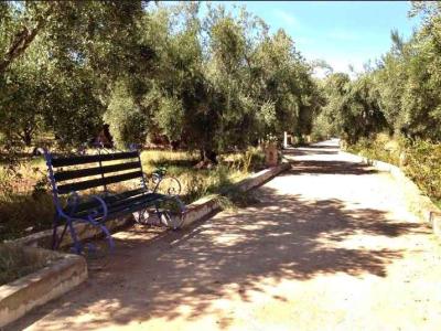 Exceptional 3.5 Hectare Farmstead on the Road of Fez