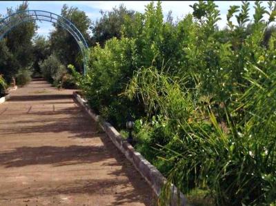 Exceptional 3.5 Hectare Farmstead on the Road of Fez