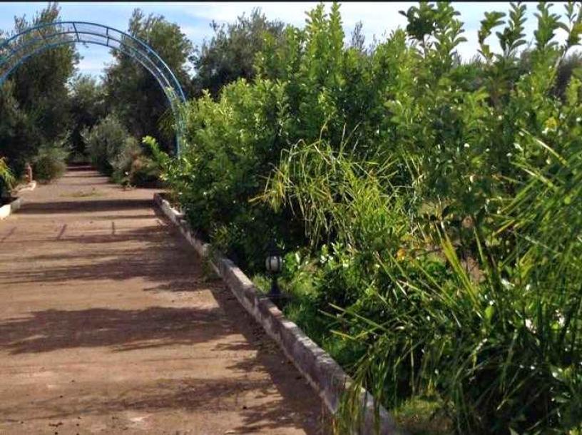 Exceptional 3.5 Hectare Farmstead on the Road of Fez-3