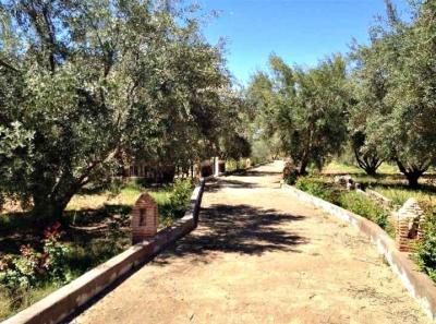 Exceptional 3.5 Hectare Farmstead on the Road of Fez