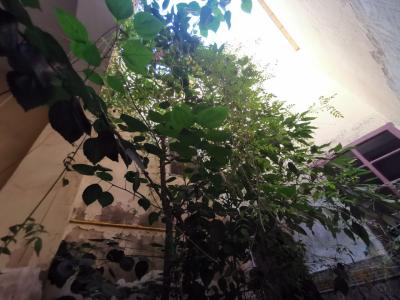 Refurbishment Project: Moroccan Jewel in Mouassine