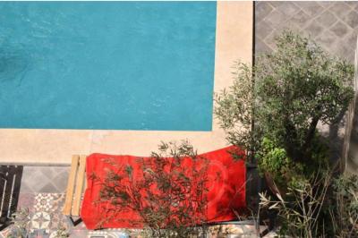 Charm and Serenity: Guesthouse on the Road to Amezimiz