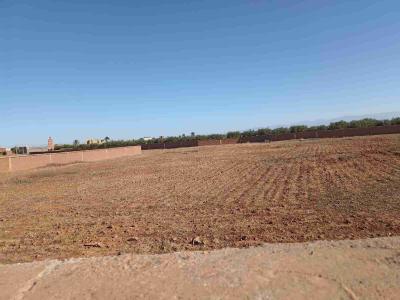 Your Investment Opportunity: Land for Sale in The Road of Fez