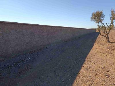 Your Investment Opportunity: Land for Sale in The Road of Fez