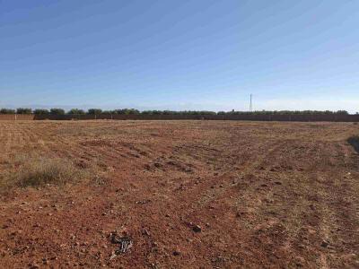 Your Investment Opportunity: Land for Sale in The Road of Fez
