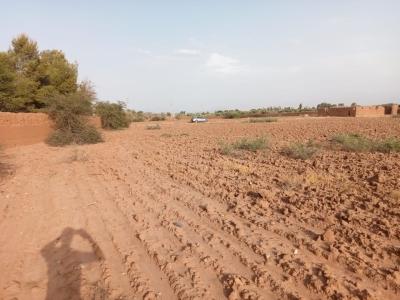 Land for Sale: Perfect for Development