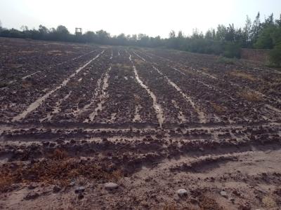 Land for Sale: Perfect for Development