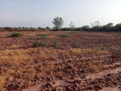 Land for Sale: Perfect for Development