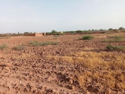 Land for Sale: Perfect for Development