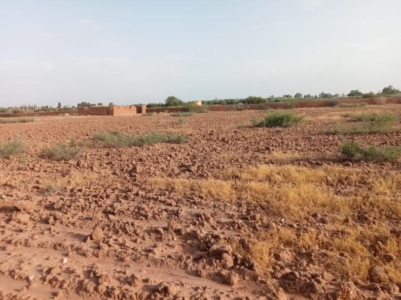 Land for Sale: Perfect for Development-5