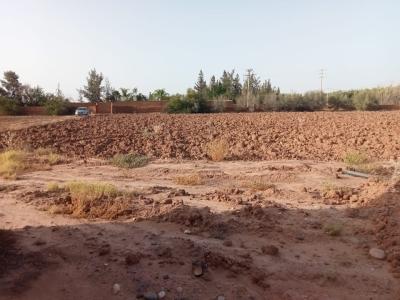 Land for Sale: Perfect for Development