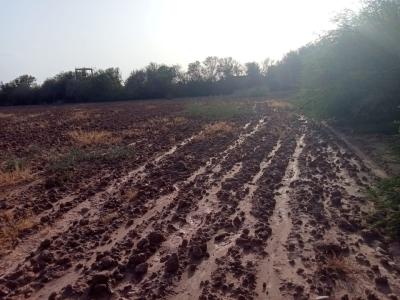 Land for Sale: Perfect for Development