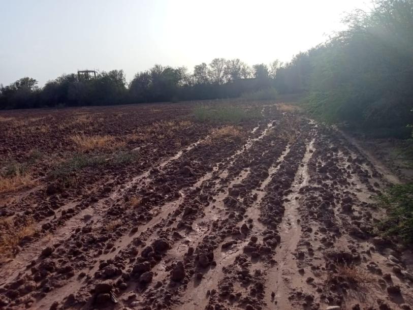 Land for Sale: Perfect for Development-2