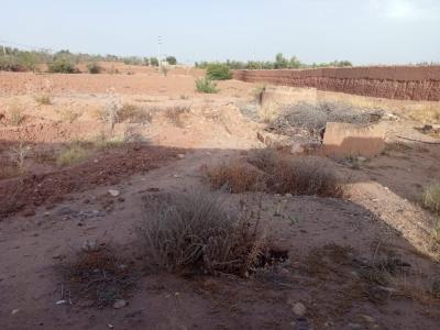 Land for Sale: Perfect for Development