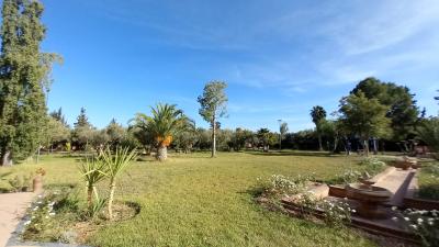 Villa for Rent – Luxury and Serenity in Marrakech
