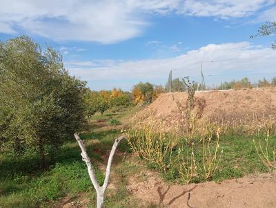 Invest in Your Future: Land for Sale at an Attractive Price