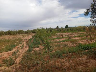 Invest in Your Future: Land for Sale at an Attractive Price