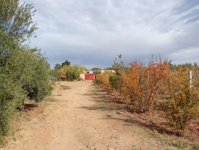 Invest in Your Future: Land for Sale at an Attractive Price