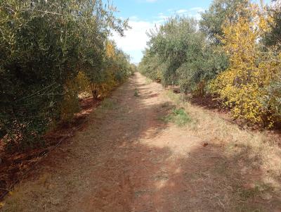 Invest in Your Future: Land for Sale at an Attractive Price