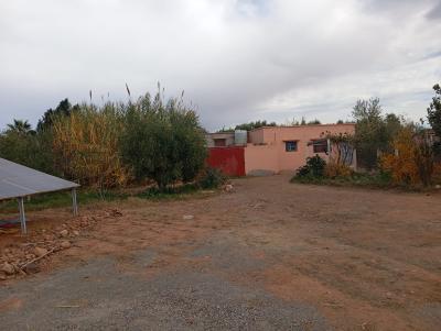 Invest in Your Future: Land for Sale at an Attractive Price