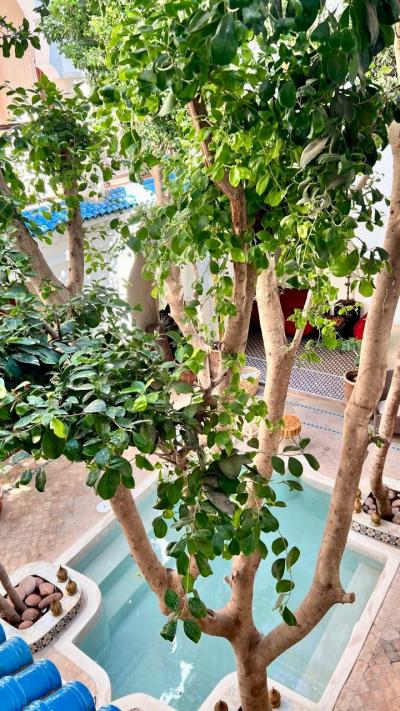 Charming Guesthouse for Sale: A Unique Opportunity to Invest in Hospitality