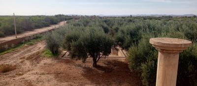 EXCEPTIONAL FARM FOR SALE – NATURAL SETTING & UNIQUE POTENTIAL