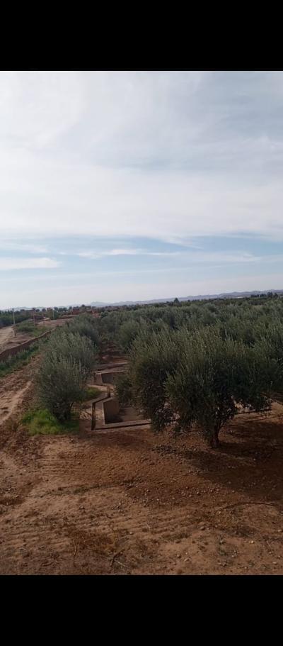 EXCEPTIONAL FARM FOR SALE – NATURAL SETTING & UNIQUE POTENTIAL
