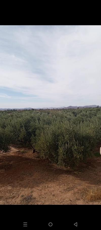 EXCEPTIONAL FARM FOR SALE – NATURAL SETTING & UNIQUE POTENTIAL