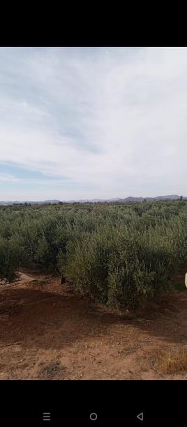 EXCEPTIONAL FARM FOR SALE – NATURAL SETTING & UNIQUE POTENTIAL-4