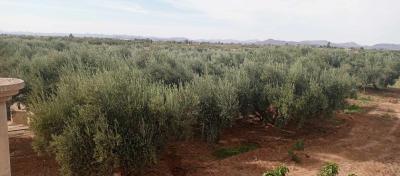EXCEPTIONAL FARM FOR SALE – NATURAL SETTING & UNIQUE POTENTIAL
