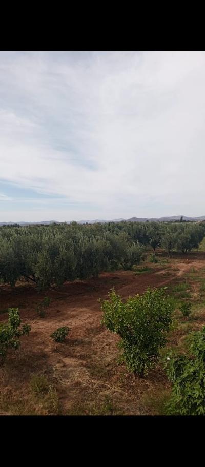 EXCEPTIONAL FARM FOR SALE – NATURAL SETTING & UNIQUE POTENTIAL