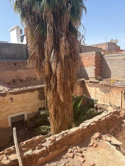 Riad to Demolish with Great Potential – A Rare Find
