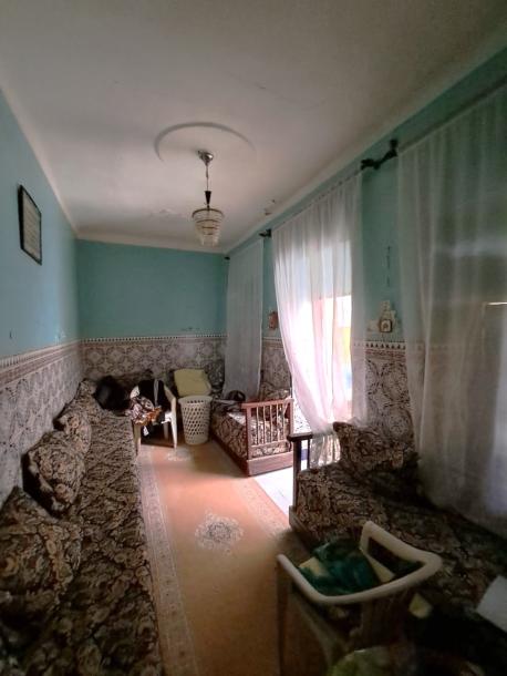 Riad to Reinvent – Let Your Imagination Run Free-8