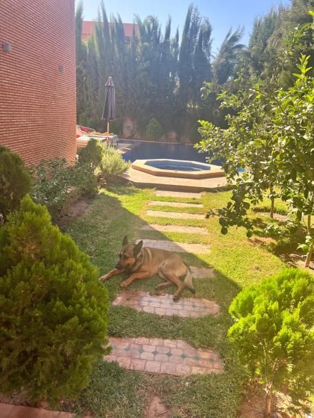 Titled Villa for Sale – Route de l’Ourika, Marrakech-13