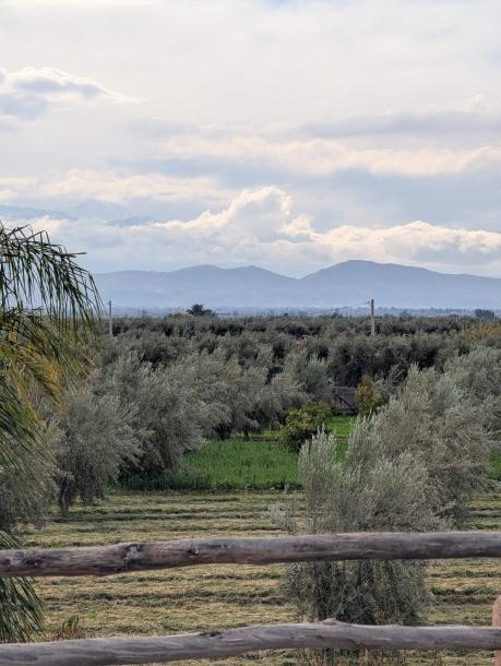 Exceptional Villa for Sale – Route de Fès-16