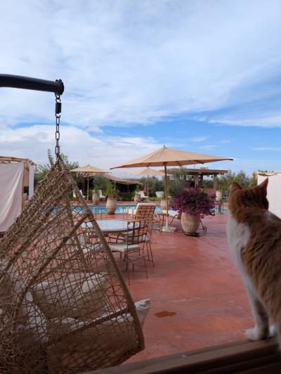 Exceptional Villa for Sale – Route de Fès