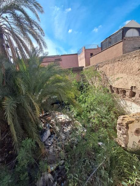 Titled Land for Sale – Zaouia Abbassia, Marrakech Medina-3